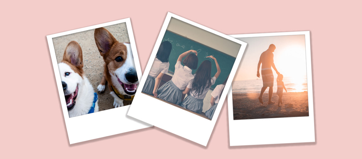 Polaroid，Polaroid，white，Hyeokryul Kwon，Flavoring，camera，