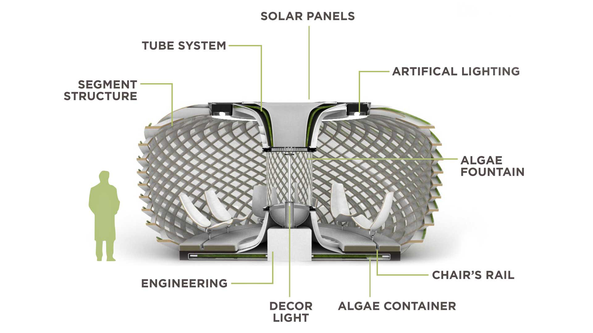 Oxygen bar，ecology，Chlorella，
