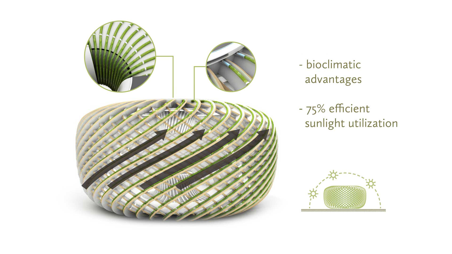 Oxygen bar，ecology，Chlorella，