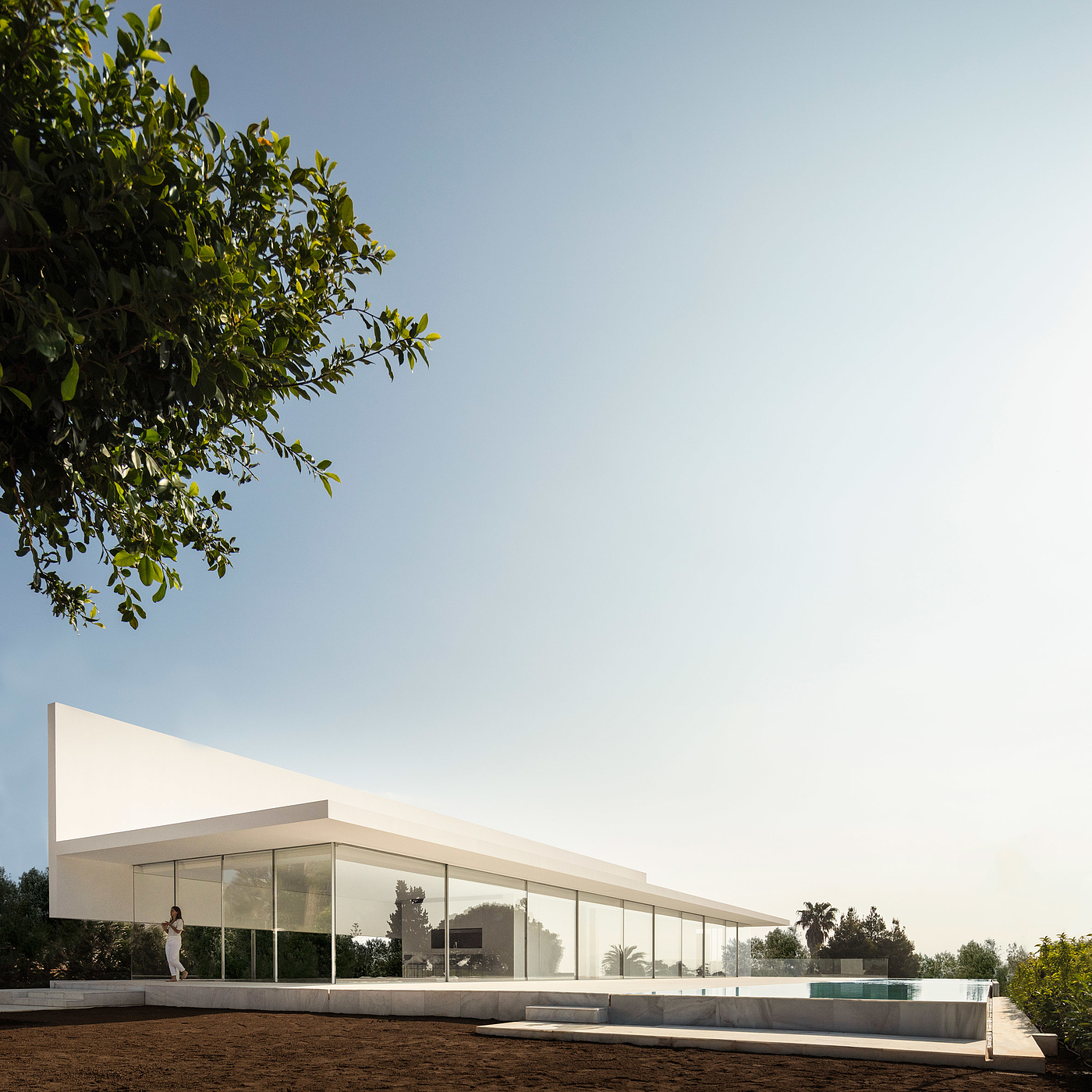glass house，T-shape，white，house，Hoffman House，