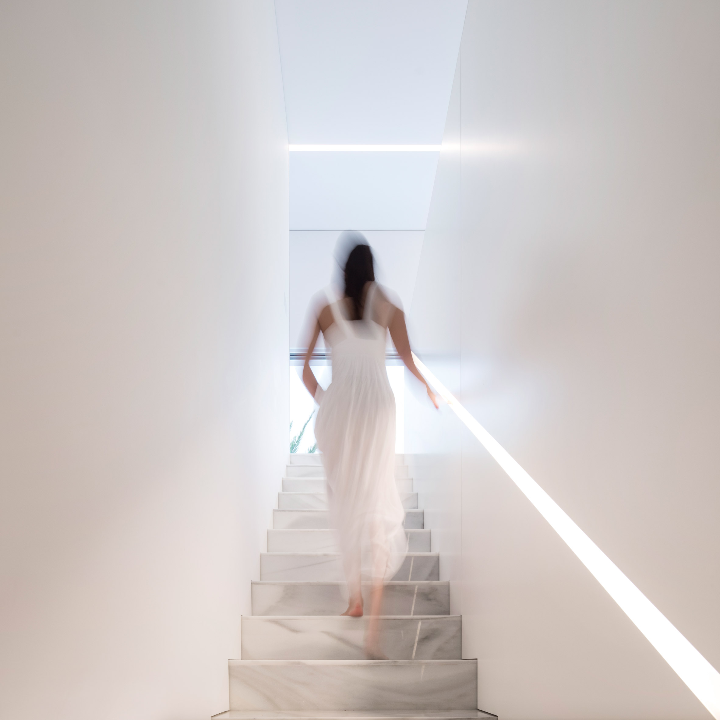 glass house，T-shape，white，house，Hoffman House，