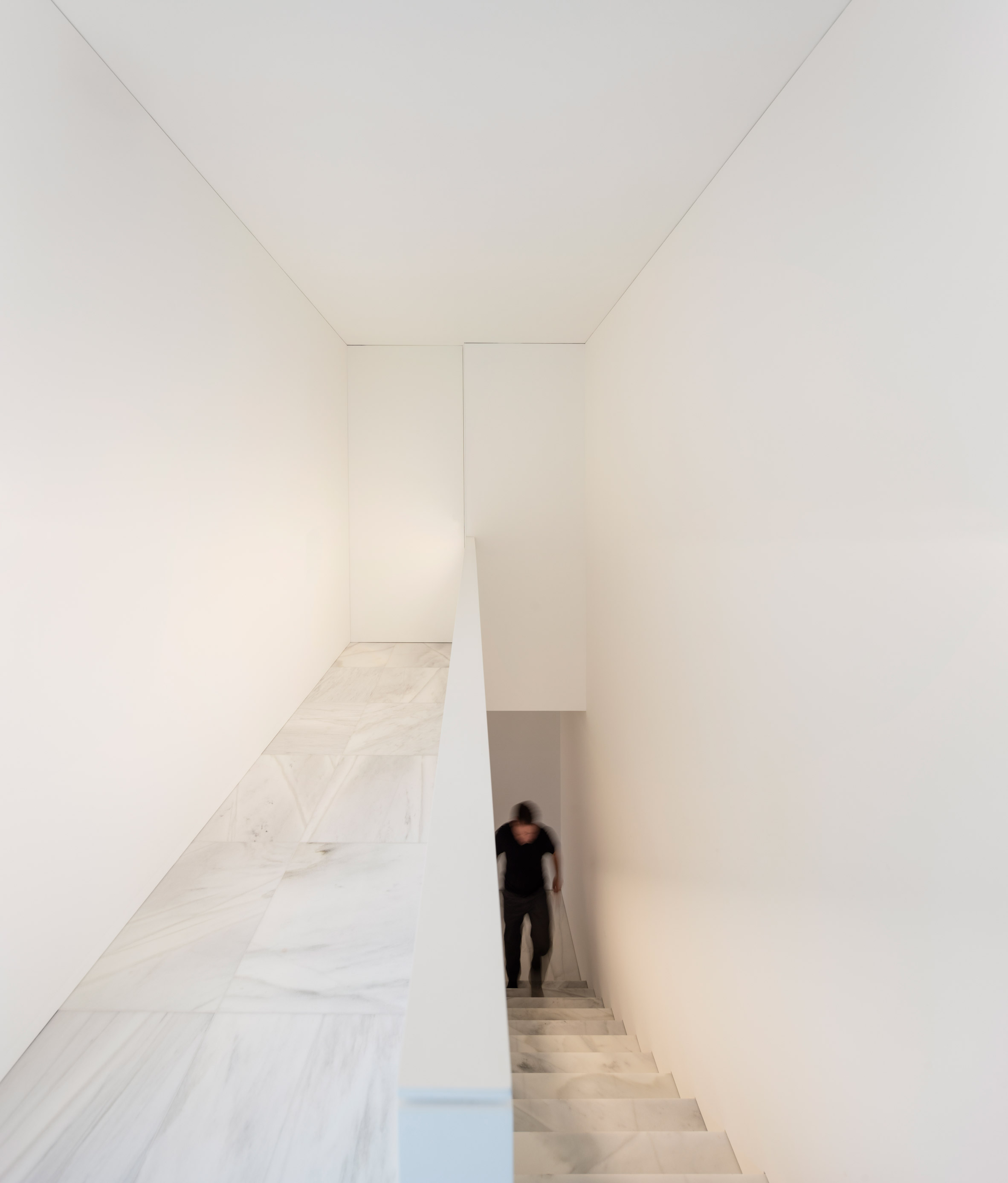 glass house，T-shape，white，house，Hoffman House，