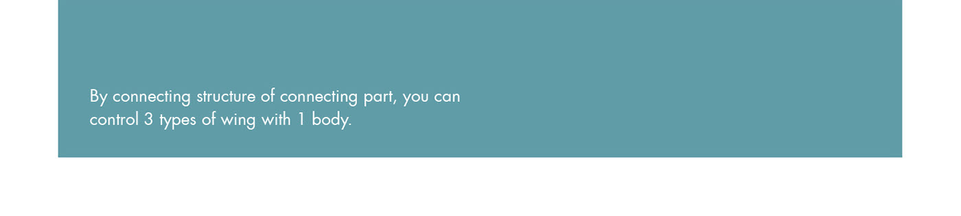 WWWING，Aerocraft，Transfiguration，