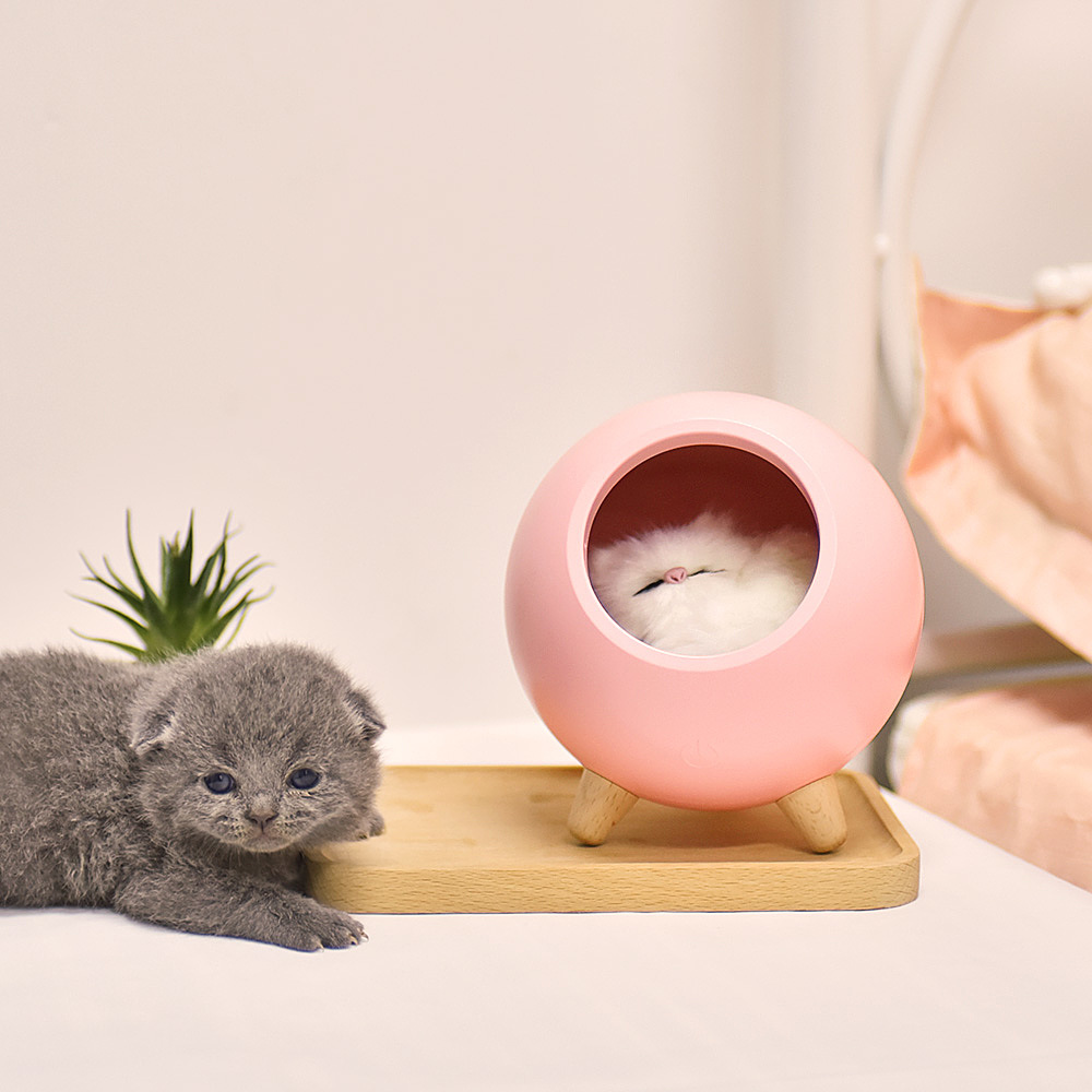 Cat nest，Atmosphere lamp，Night light，buddha-like，cat，