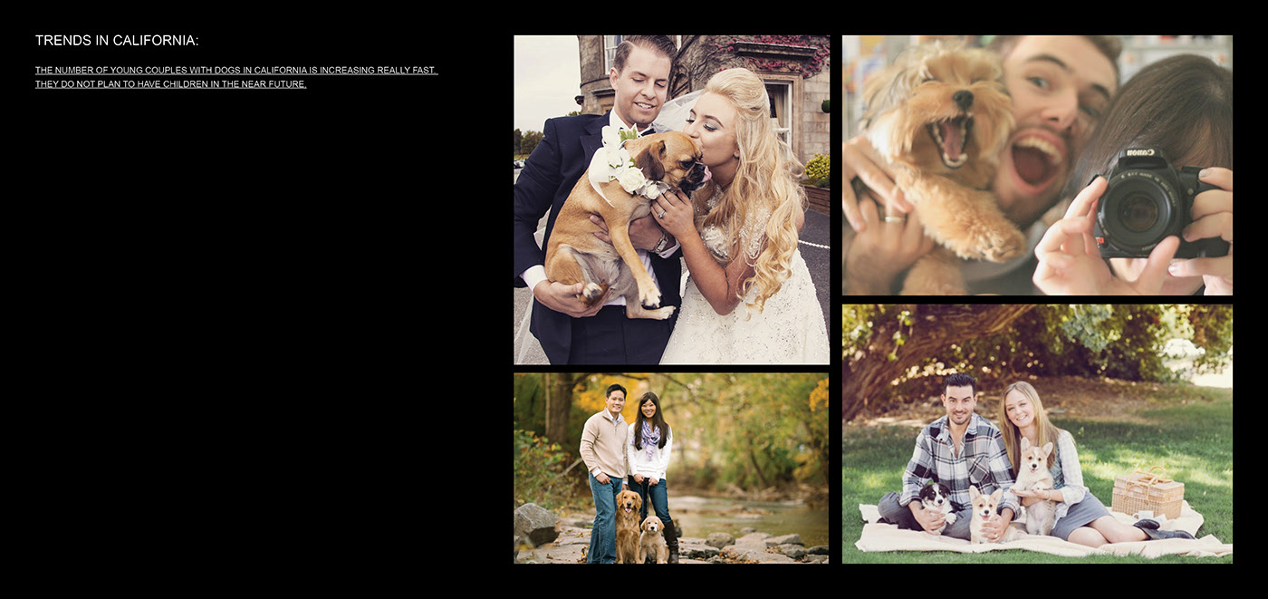 Tianbo Ma，Lynk, Co.，travel，Pets，automobile，