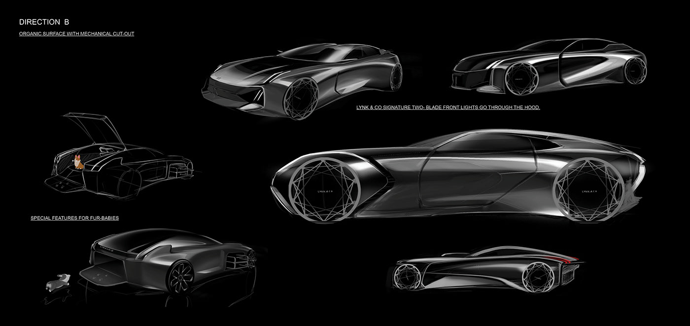 Tianbo Ma，Lynk, Co.，travel，Pets，automobile，