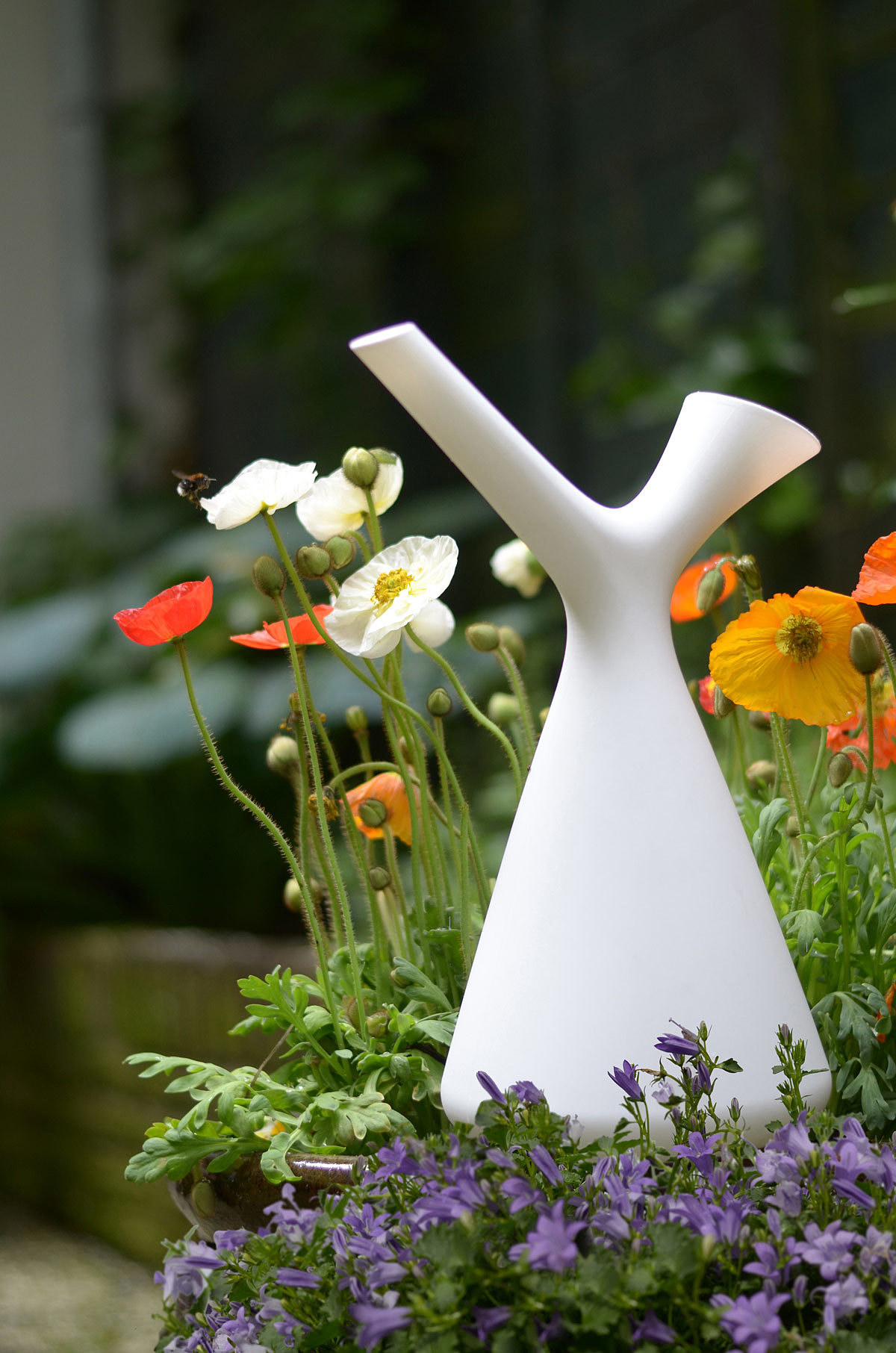 Watering can，Home Furnishing，articles for daily use，originality，Simplicity，
