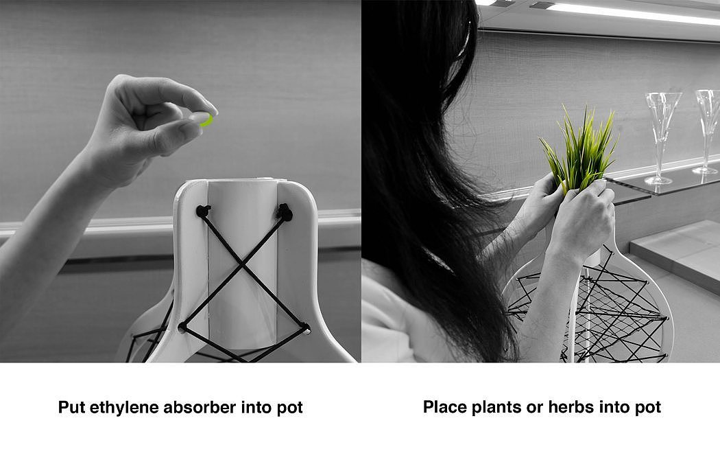 Funny，practical，beautiful，convenient，decorate，