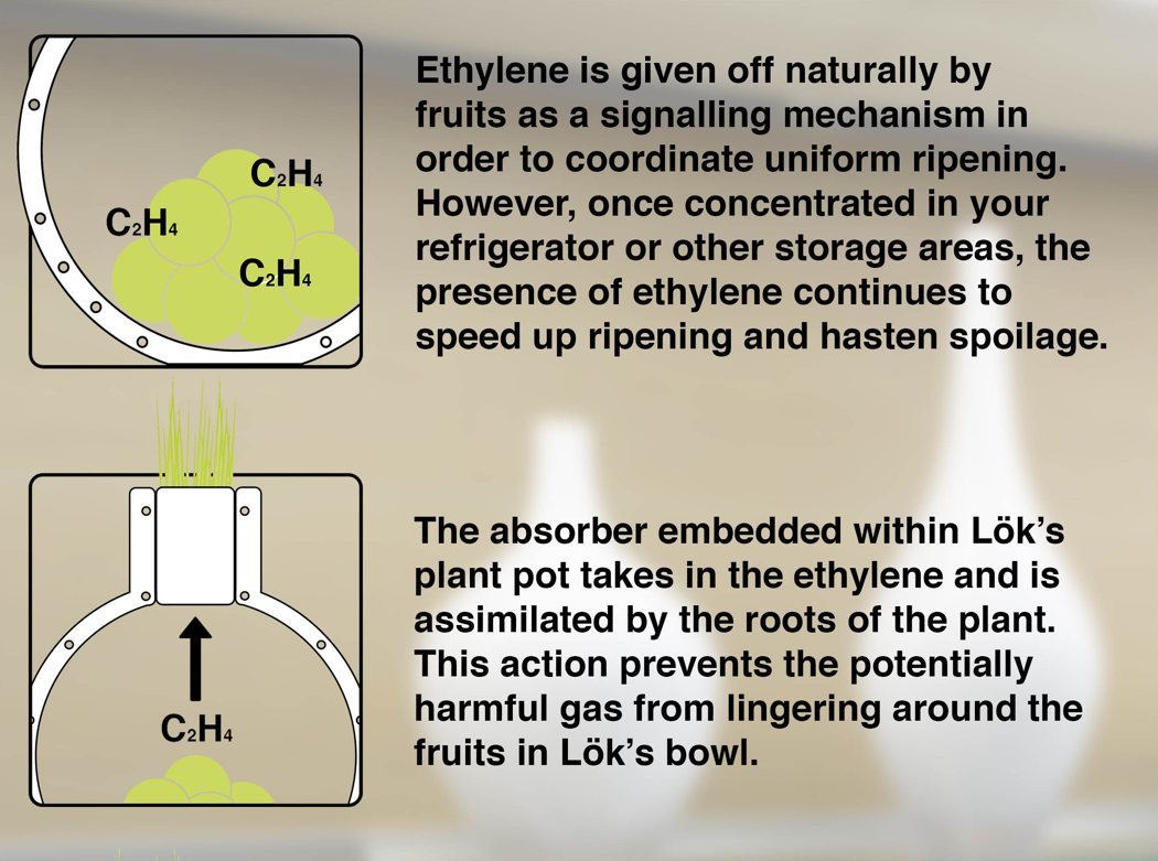 Funny，practical，beautiful，convenient，decorate，