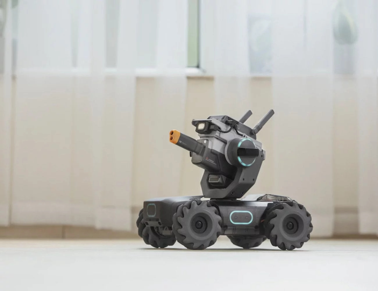 DAY，programming，education，robot，