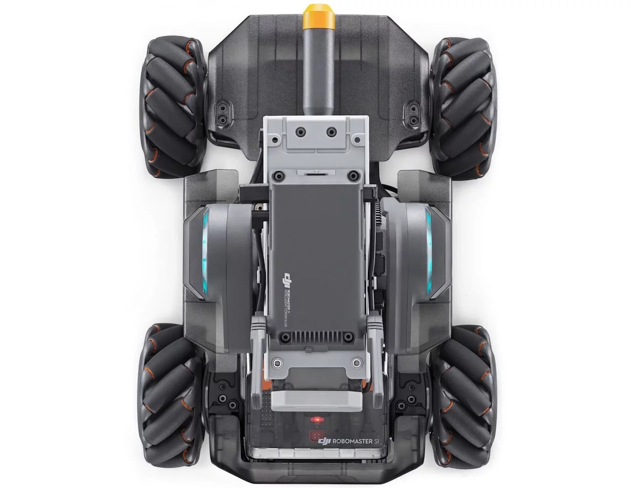 DAY，programming，education，robot，