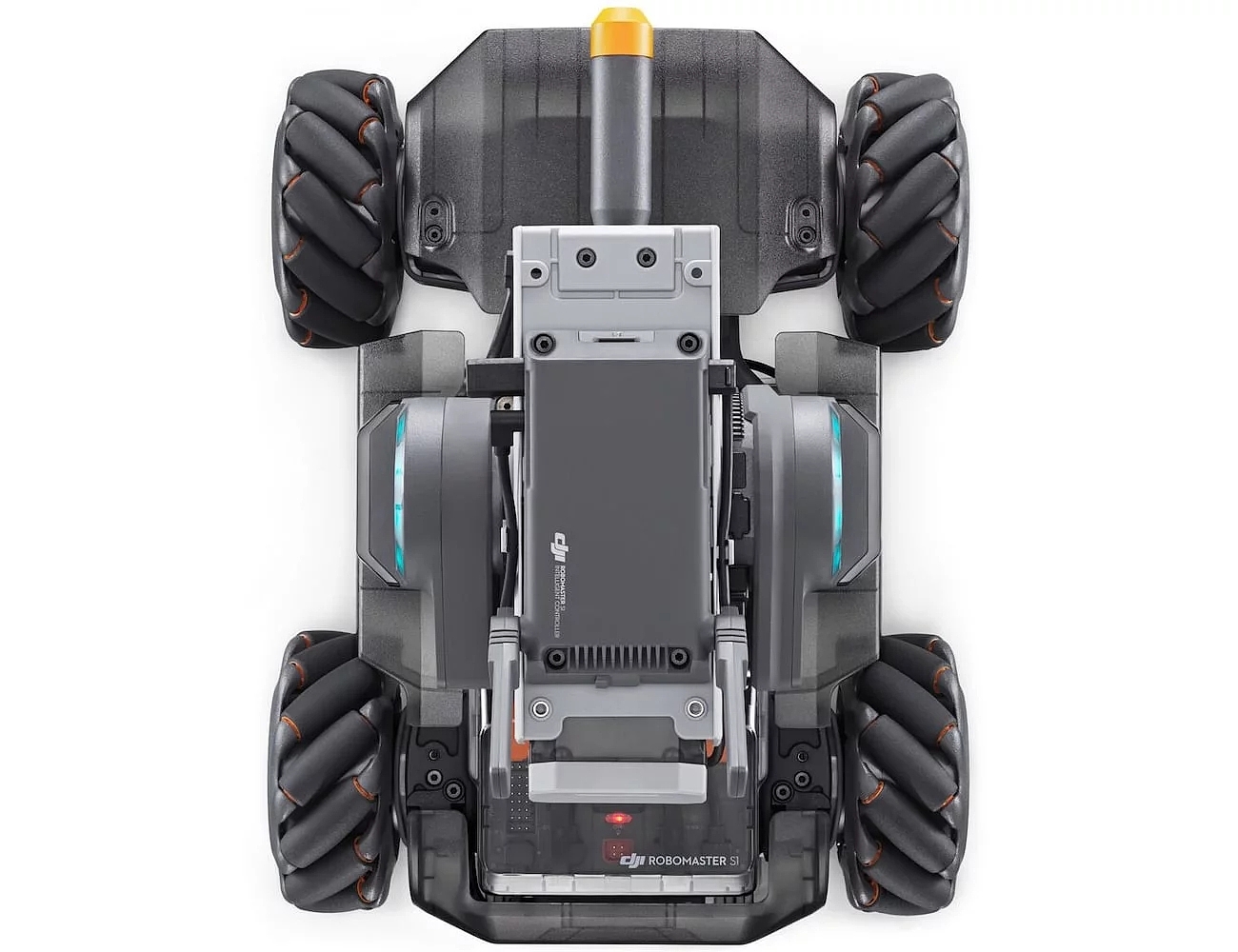 DAY，programming，education，robot，