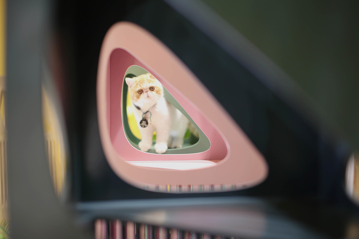 industrial design，product design，Life aesthetics，Cat climbing frame，Cat tree，Cat nest，cat，