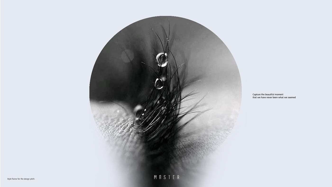 mobile phone，DONG HO LEE，Honor 20，