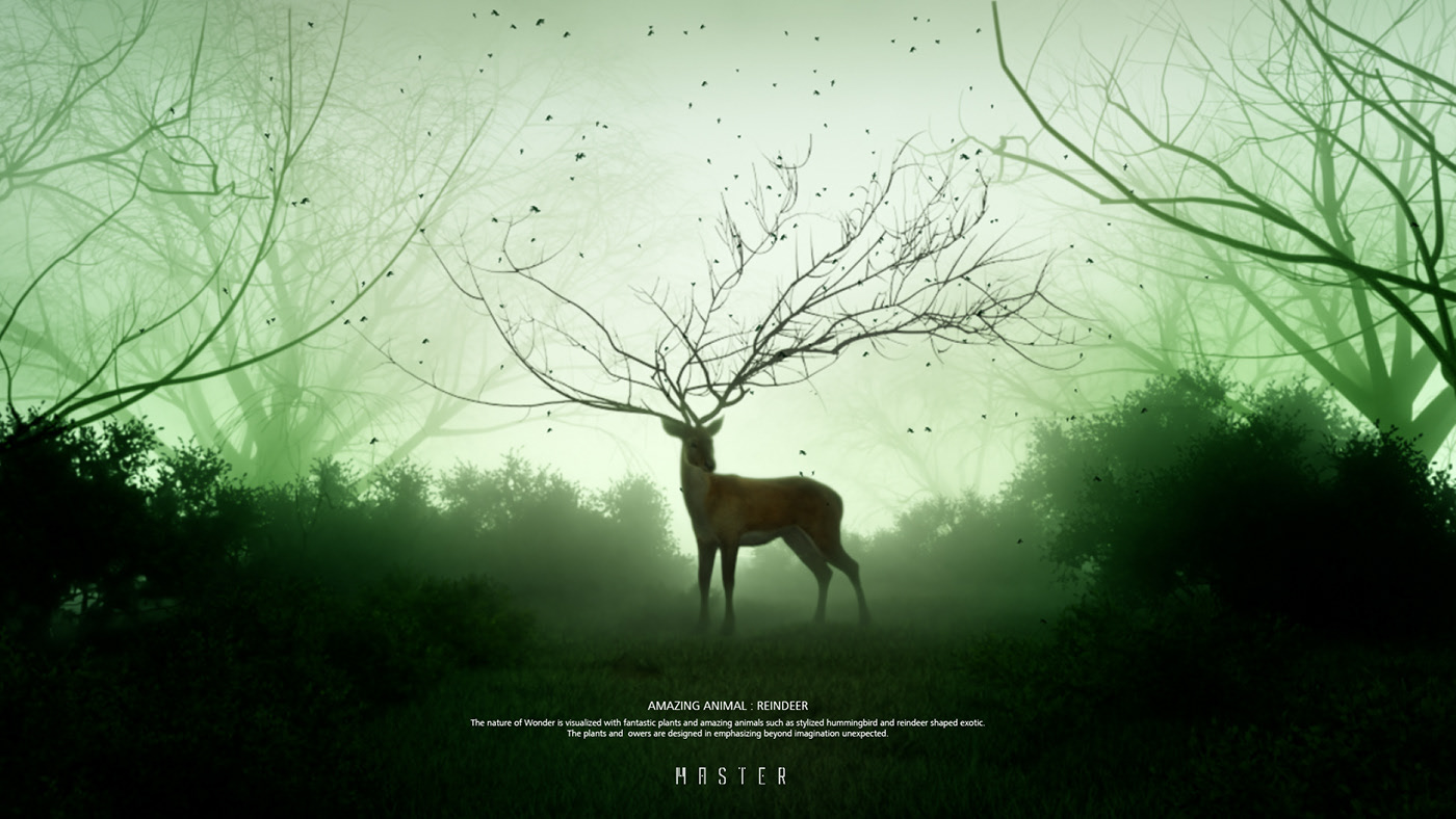 mobile phone，DONG HO LEE，Honor 20，