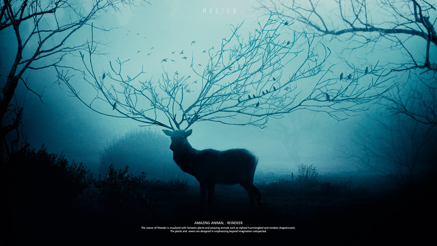 mobile phone，DONG HO LEE，Honor 20，