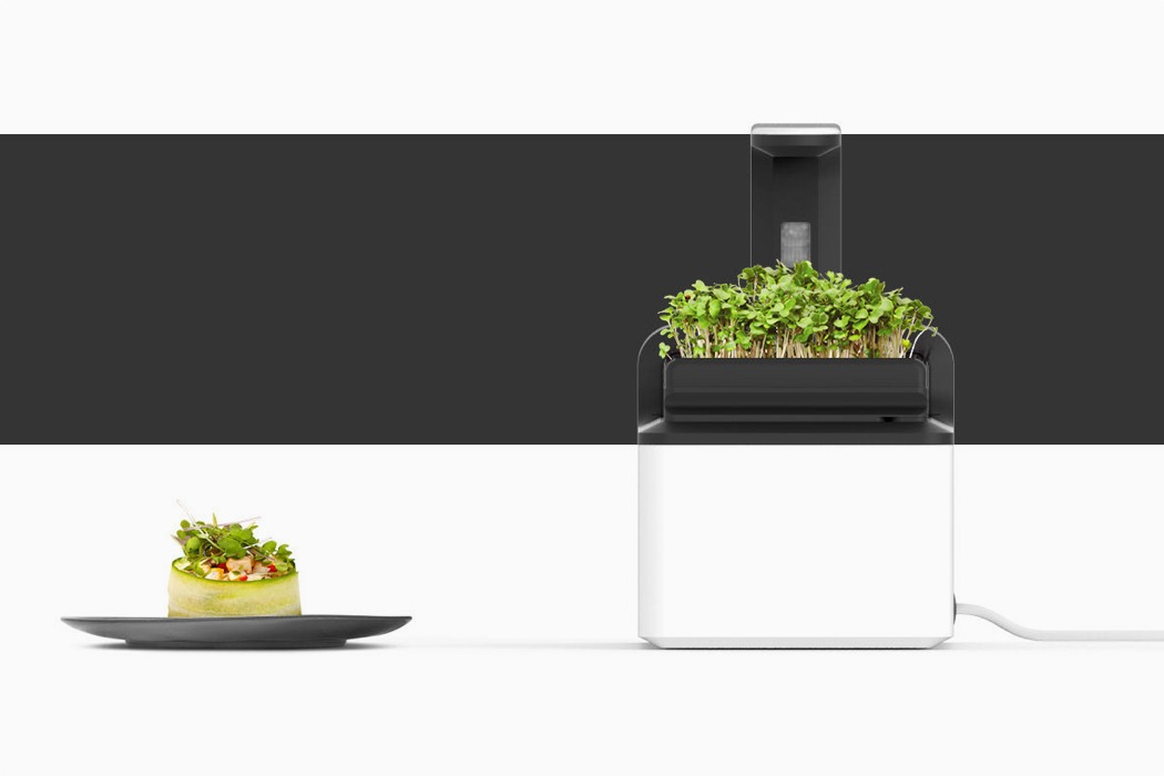 MIZZLE，Home planter，white，