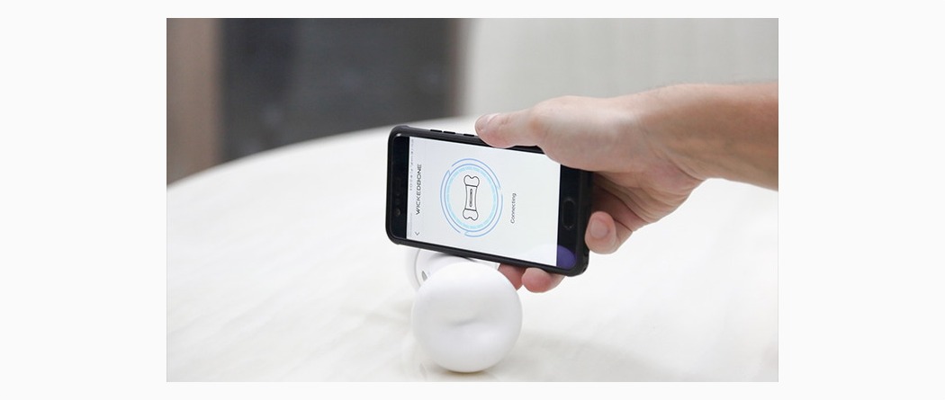 Pets，Toys，bone，intelligence，dog，