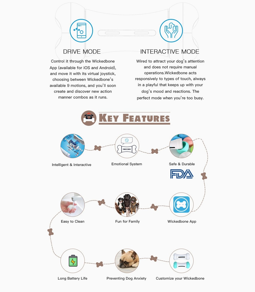 Pets，Toys，bone，intelligence，dog，