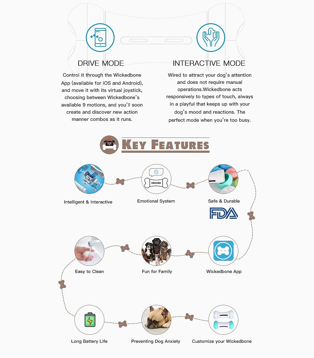 Pets，Toys，bone，intelligence，dog，