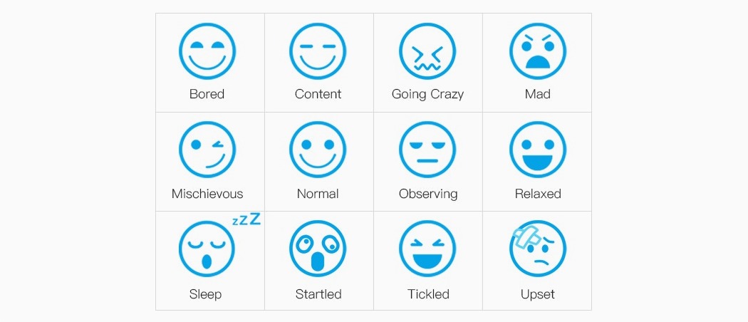 Pets，Toys，bone，intelligence，dog，