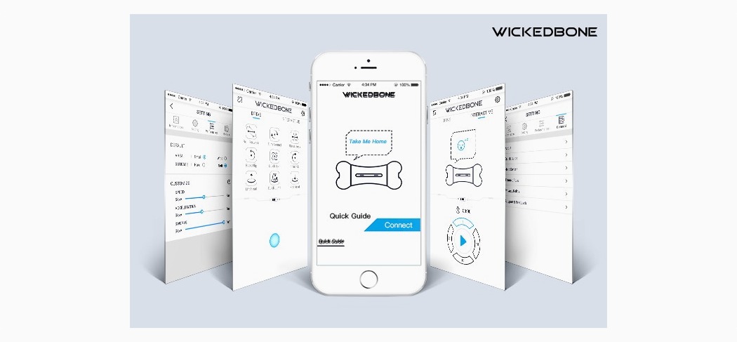 Pets，Toys，bone，intelligence，dog，