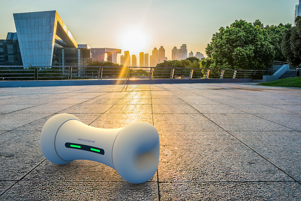 Pets，Toys，bone，intelligence，dog，