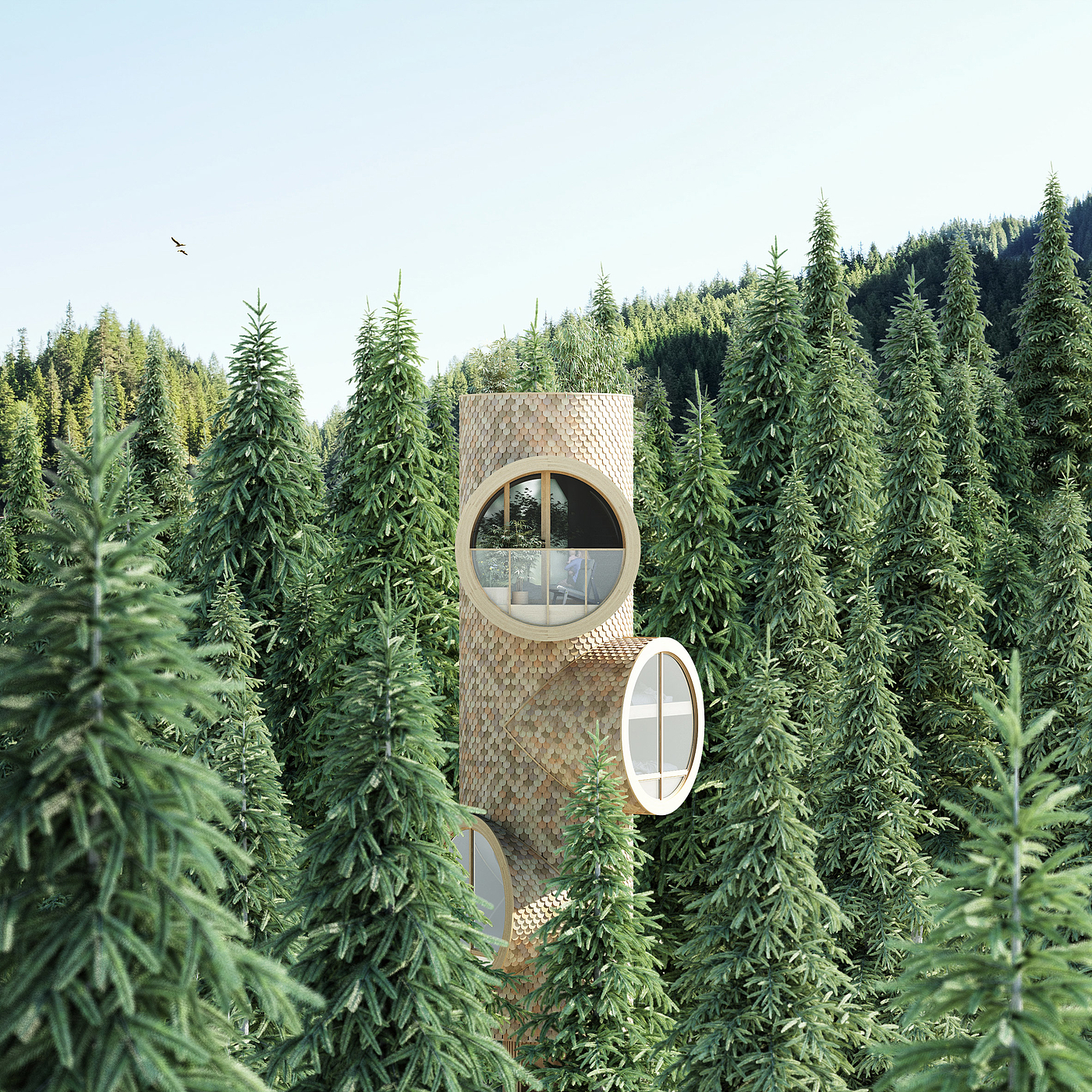 forest，Assembly，Wooden house，natural，Architecture，