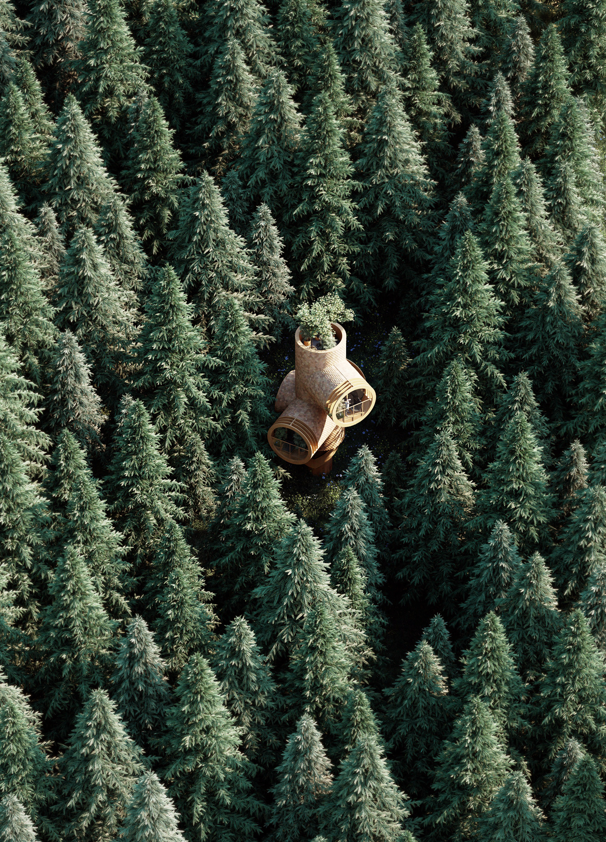 forest，Assembly，Wooden house，natural，Architecture，