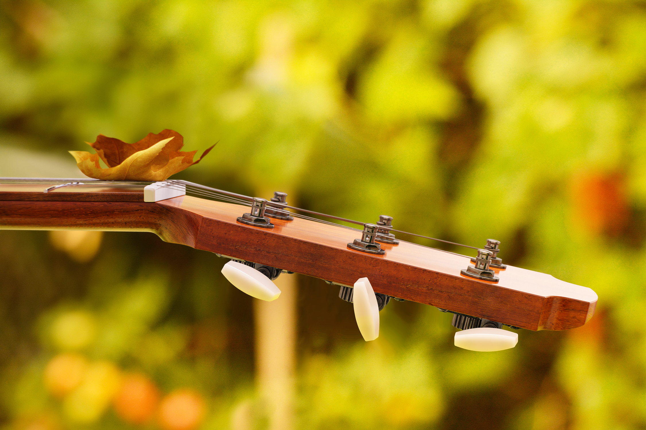 Product rendering，guitar，keyshot，